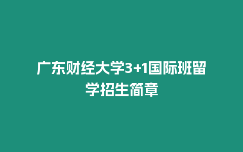 廣東財經大學3+1國際班留學招生簡章