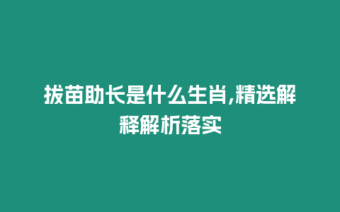 拔苗助長是什么生肖,精選解釋解析落實