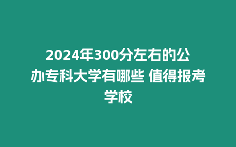 2024年300分左右的公辦專科大學(xué)有哪些 值得報(bào)考學(xué)校