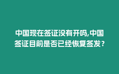 中國現在簽證沒有開嗎,中國簽證目前是否已經恢復簽發？