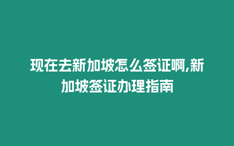 現在去新加坡怎么簽證啊,新加坡簽證辦理指南