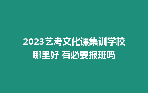 2023藝考文化課集訓學校哪里好 有必要報班嗎