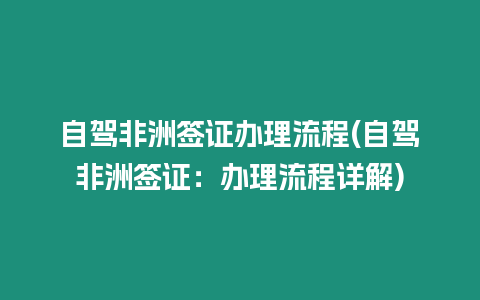 自駕非洲簽證辦理流程(自駕非洲簽證：辦理流程詳解)