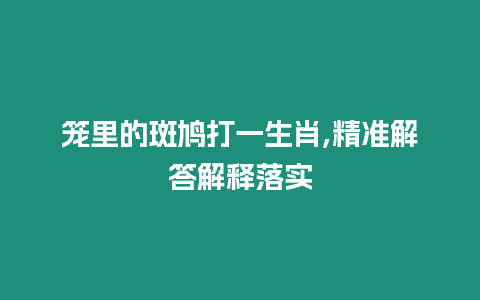 籠里的斑鳩打一生肖,精準解答解釋落實