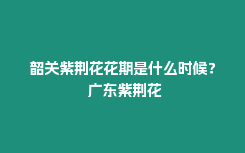 韶關紫荊花花期是什么時候？ 廣東紫荊花