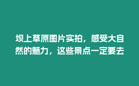 壩上草原圖片實拍，感受大自然的魅力，這些景點一定要去