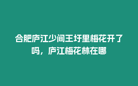 合肥廬江少間王圩里梅花開了嗎，廬江梅花林在哪