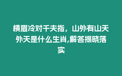 橫眉冷對千夫指，山外有山天外天是什么生肖,解答揭曉落實