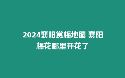 2024襄陽賞梅地圖 襄陽梅花哪里開花了