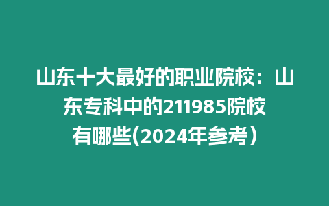 山東十大最好的職業院校：山東專科中的211985院校有哪些(2024年參考）