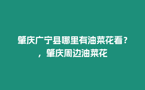 肇慶廣寧縣哪里有油菜花看？，肇慶周邊油菜花