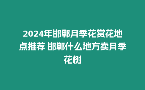 2024年邯鄲月季花賞花地點推薦 邯鄲什么地方賣月季花樹