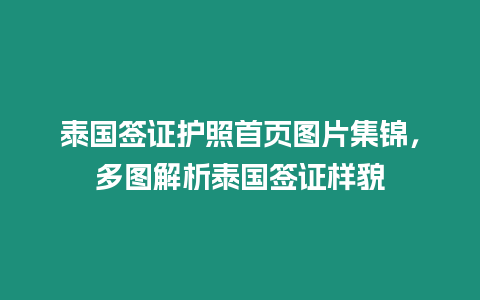 泰國簽證護照首頁圖片集錦，多圖解析泰國簽證樣貌