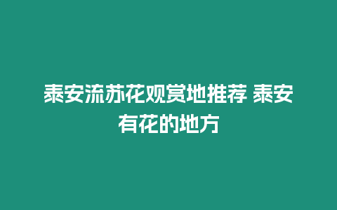 泰安流蘇花觀賞地推薦 泰安有花的地方