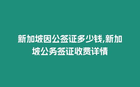 新加坡因公簽證多少錢,新加坡公務簽證收費詳情