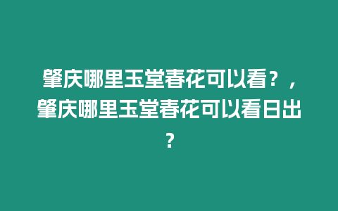 肇慶哪里玉堂春花可以看？，肇慶哪里玉堂春花可以看日出？