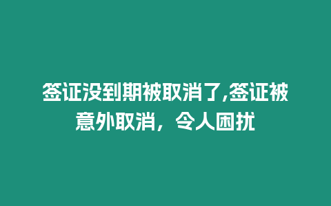 簽證沒到期被取消了,簽證被意外取消，令人困擾