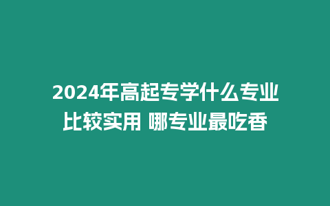 2024年高起專學(xué)什么專業(yè)比較實(shí)用 哪專業(yè)最吃香