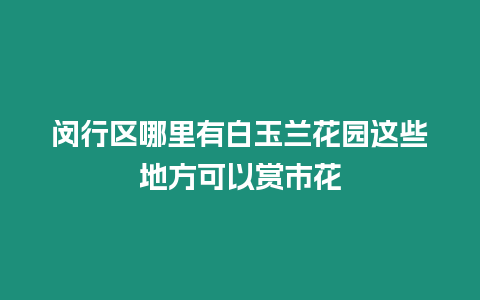 閔行區哪里有白玉蘭花園這些地方可以賞市花