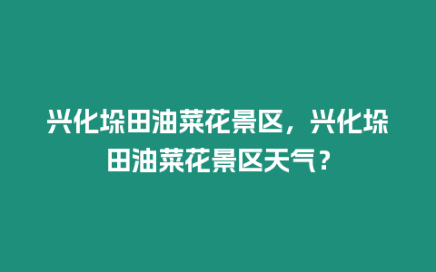 興化垛田油菜花景區，興化垛田油菜花景區天氣？