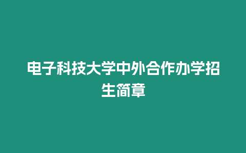 電子科技大學中外合作辦學招生簡章