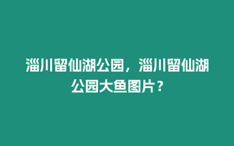 淄川留仙湖公園，淄川留仙湖公園大魚圖片？