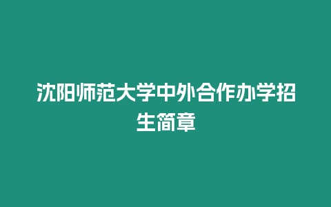 沈陽師范大學中外合作辦學招生簡章