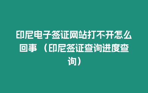 印尼電子簽證網站打不開怎么回事 （印尼簽證查詢進度查詢）