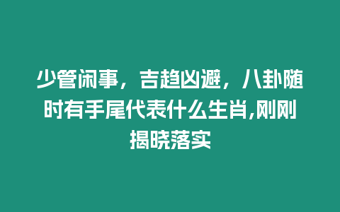 少管閑事，吉趨兇避，八卦隨時有手尾代表什么生肖,剛剛揭曉落實