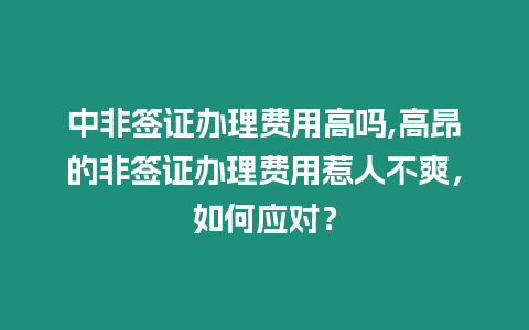 中非簽證辦理費用高嗎,高昂的非簽證辦理費用惹人不爽，如何應對？