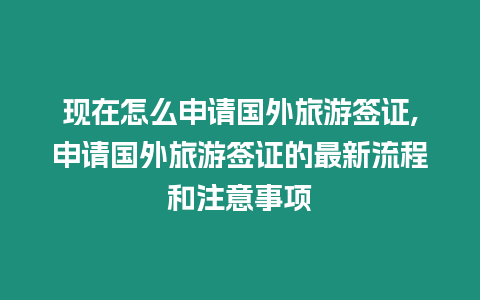 現在怎么申請國外旅游簽證,申請國外旅游簽證的最新流程和注意事項