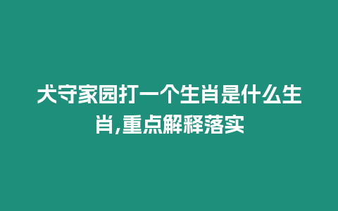 犬守家園打一個生肖是什么生肖,重點解釋落實