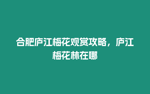 合肥廬江梅花觀賞攻略，廬江梅花林在哪