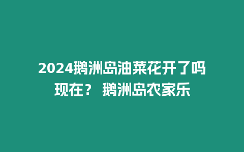 2024鵝洲島油菜花開了嗎現在？ 鵝洲島農家樂