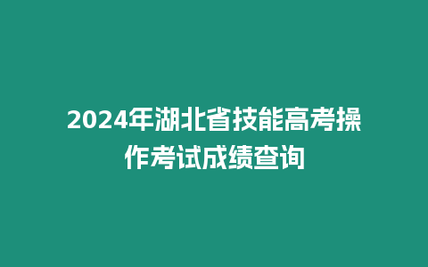 2024年湖北省技能高考操作考試成績查詢