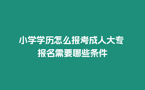 小學學歷怎么報考成人大專 報名需要哪些條件