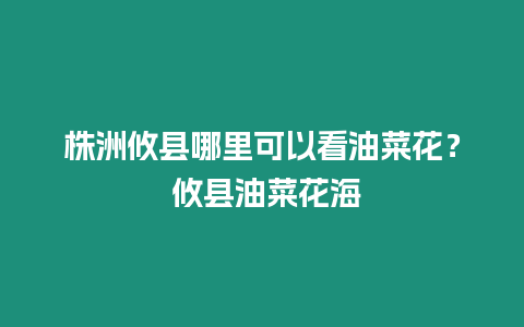 株洲攸縣哪里可以看油菜花？ 攸縣油菜花海