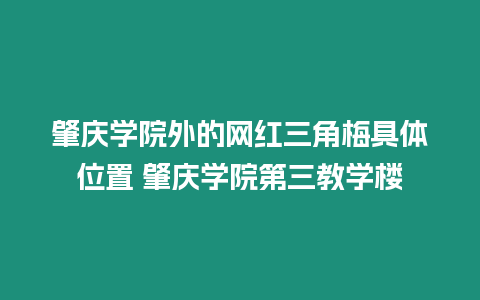 肇慶學院外的網紅三角梅具體位置 肇慶學院第三教學樓