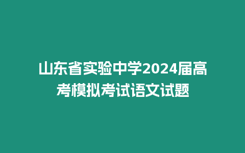 山東省實驗中學2024屆高考模擬考試語文試題