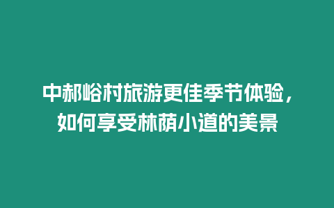 中郝峪村旅游更佳季節體驗，如何享受林蔭小道的美景