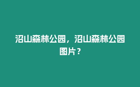 沼山森林公園，沼山森林公園圖片？