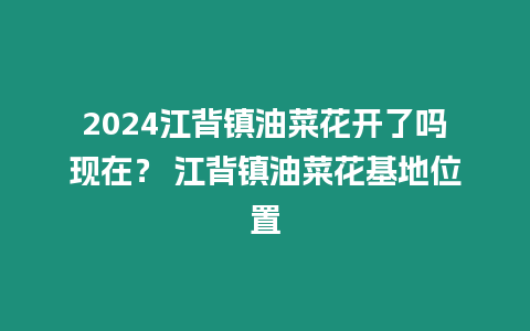 2024江背鎮油菜花開了嗎現在？ 江背鎮油菜花基地位置