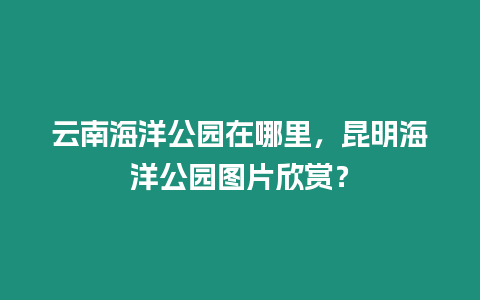 云南海洋公園在哪里，昆明海洋公園圖片欣賞？