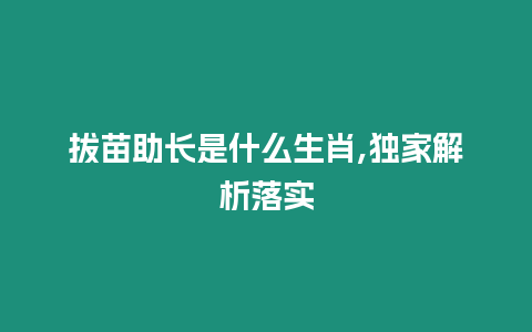 拔苗助長是什么生肖,獨家解析落實