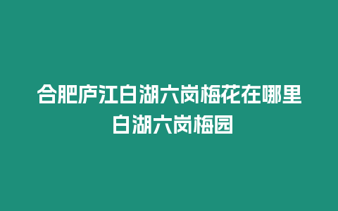 合肥廬江白湖六崗梅花在哪里 白湖六崗梅園