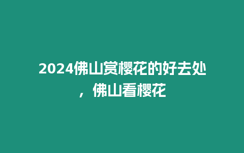 2024佛山賞櫻花的好去處，佛山看櫻花