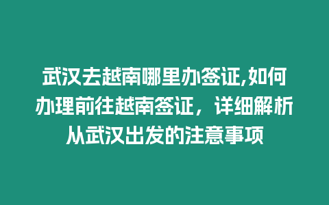 武漢去越南哪里辦簽證,如何辦理前往越南簽證，詳細(xì)解析從武漢出發(fā)的注意事項(xiàng)