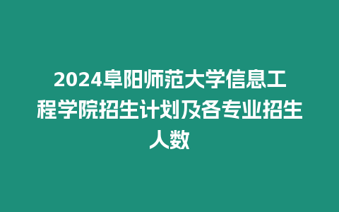 2024阜陽師范大學信息工程學院招生計劃及各專業招生人數