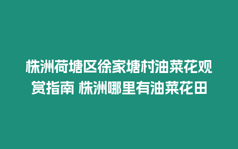 株洲荷塘區(qū)徐家塘村油菜花觀賞指南 株洲哪里有油菜花田