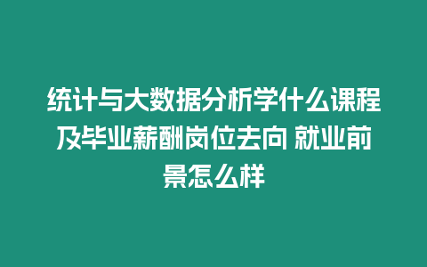 統計與大數據分析學什么課程及畢業薪酬崗位去向 就業前景怎么樣